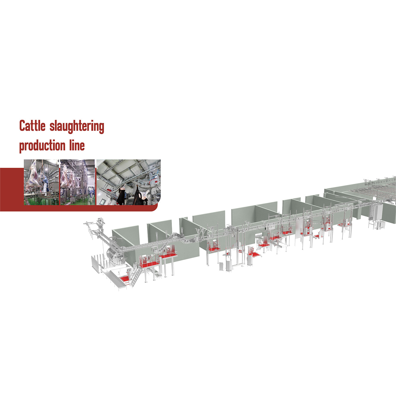 โซลูชันการฆ่าโคที่ทันสมัยสำหรับโรงงานที่ให้ผลผลิตสูง